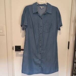 Walter Baker Blue Shirtdress